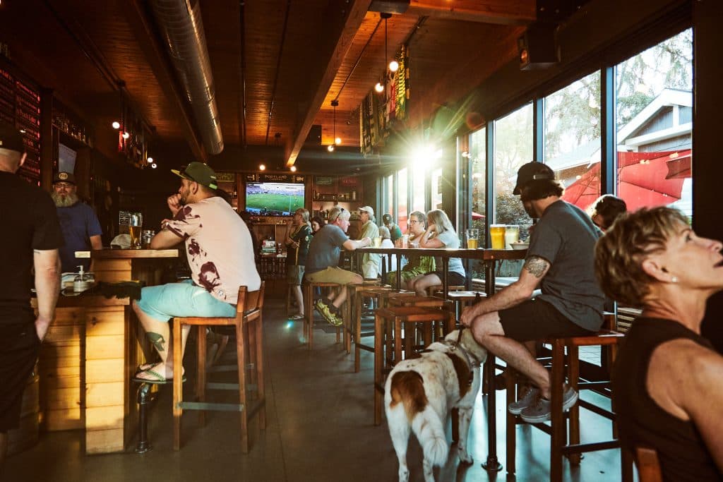 Dog friendly Proper Pint Taproom in Woodstock